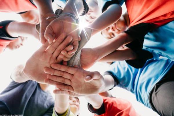 优质体育培训心得体会：从入门到突破的关键点(图1)
